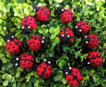 Felt Ladybug