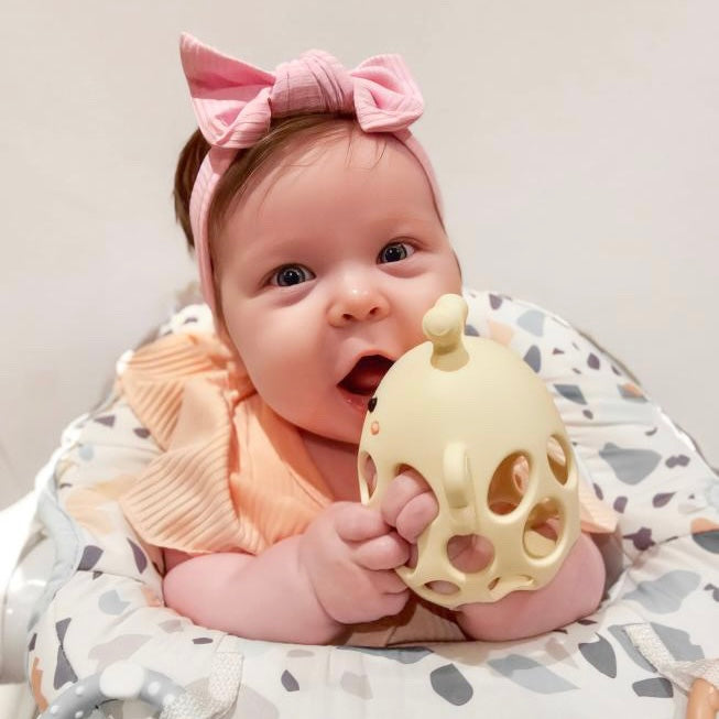 Garden Party Collection - Honey Bee Teether