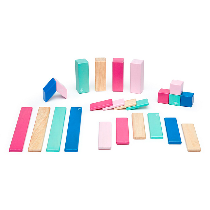 24-Piece Set <br>Magnetic Wooden Blocks <br>Tegu Classics
