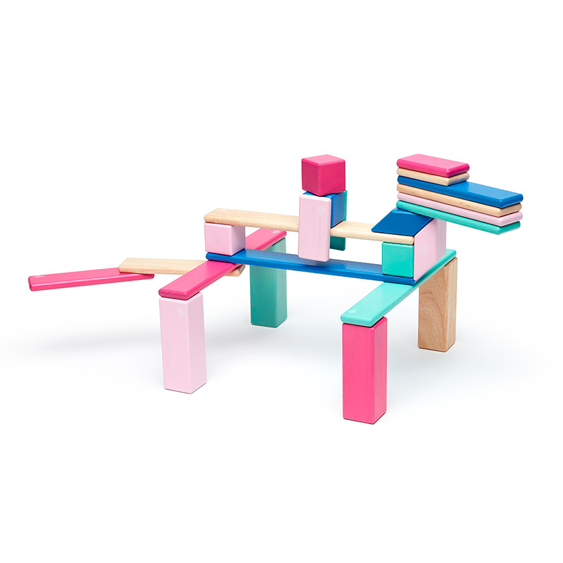 24-Piece Set <br>Magnetic Wooden Blocks <br>Tegu Classics