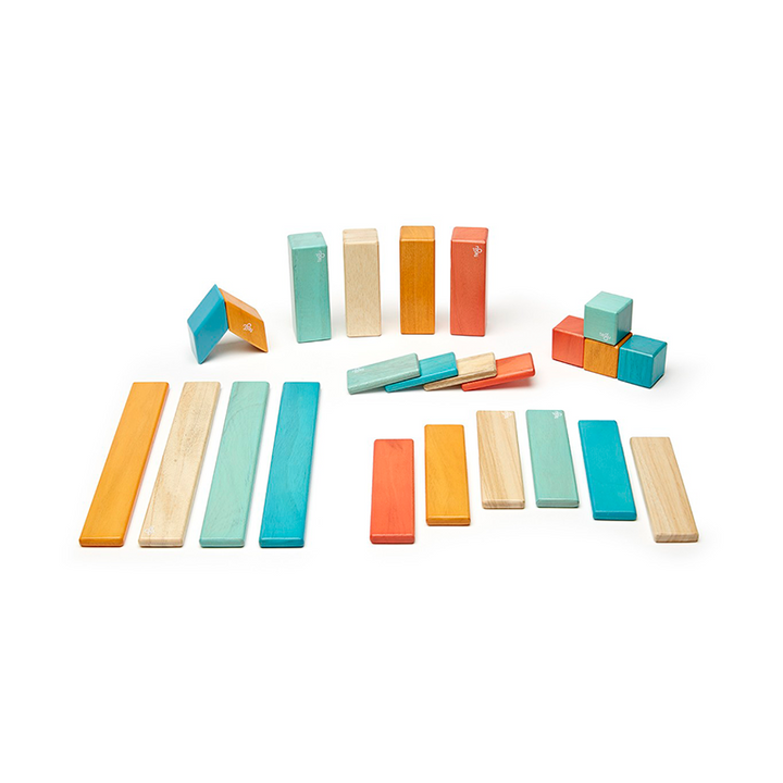 24-Piece Set <br>Magnetic Wooden Blocks <br>Tegu Classics