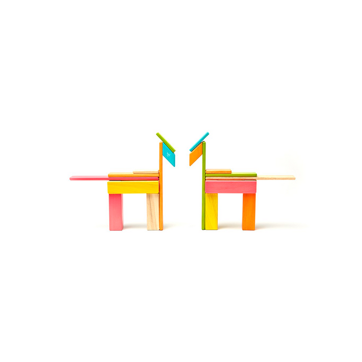 24-Piece Set <br>Magnetic Wooden Blocks <br>Tegu Classics
