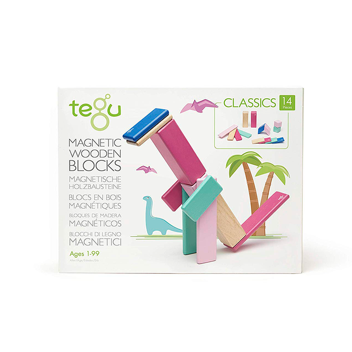 14-Piece Set Magnetic Wooden Blocks Tegu Classics