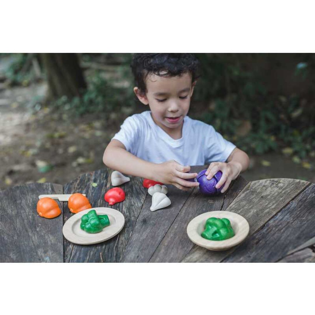 Plan Toys 5 Colors Veggie Set