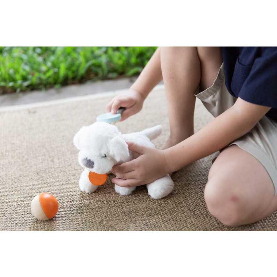 Plan Toys Pet Care Set