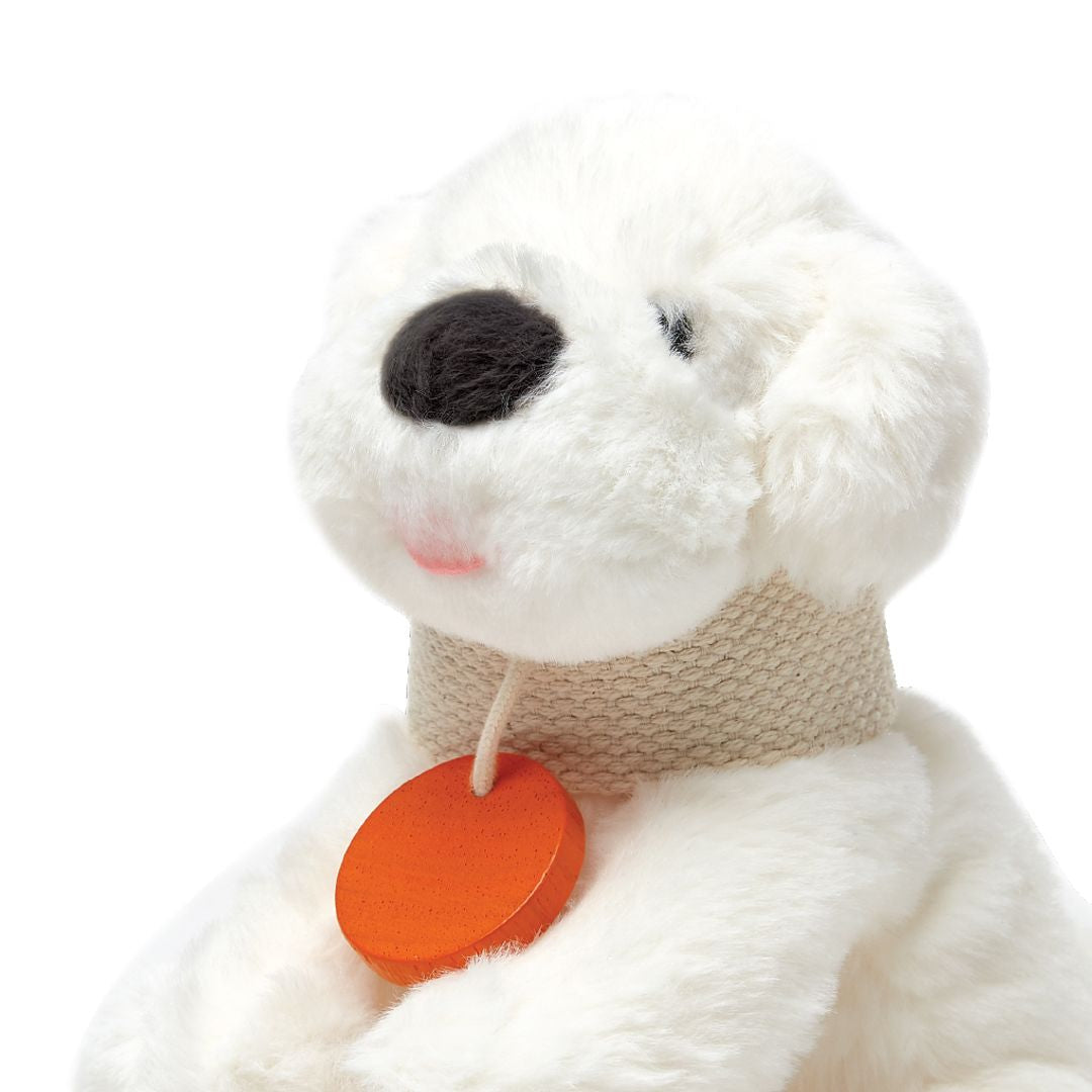 Plan Toys Pet Care Set