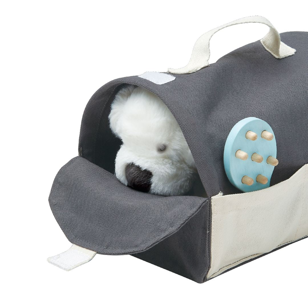 Plan Toys Pet Care Set