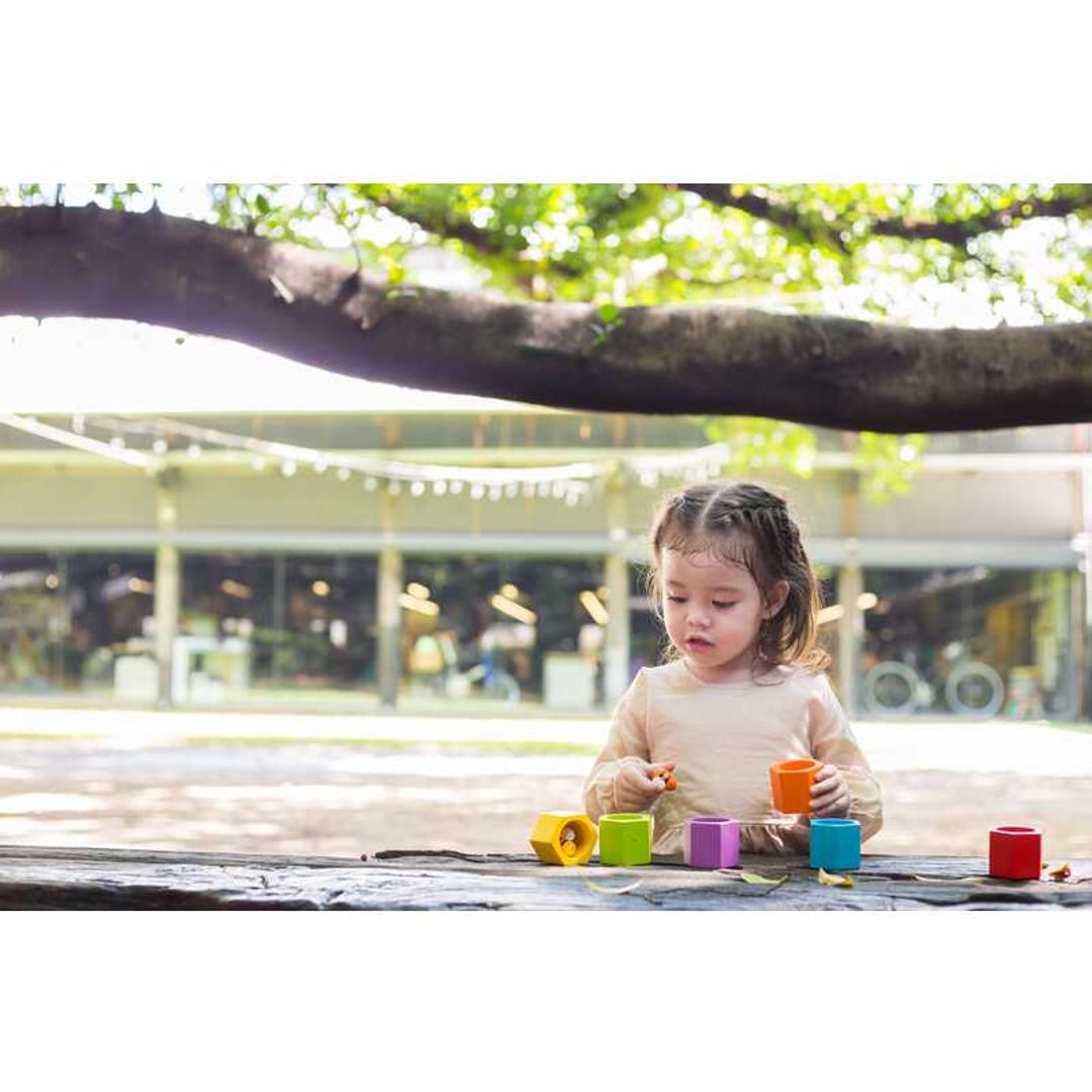 Plan Toys Beehives