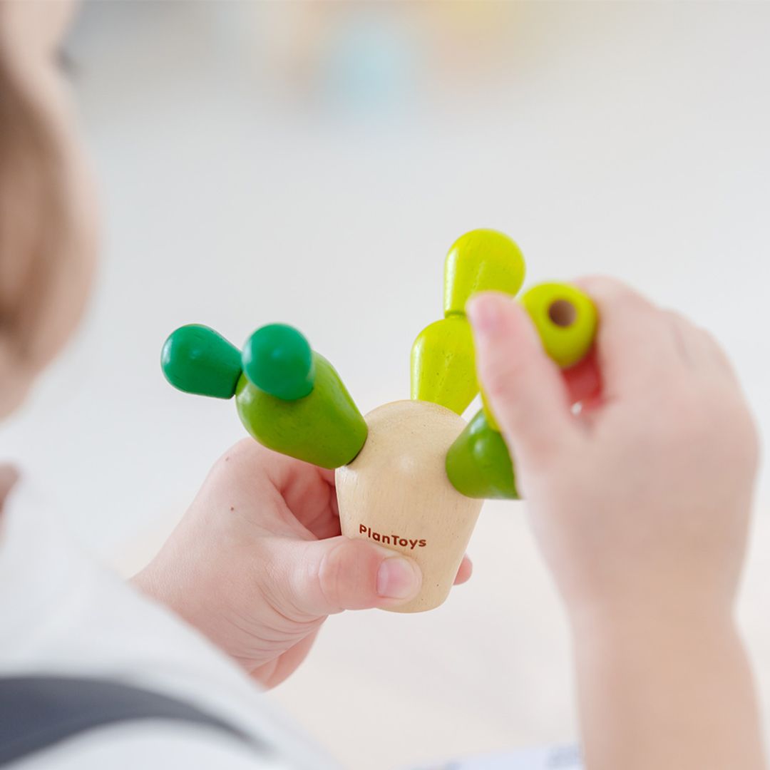 Plan Toys Mini Balancing Cactus
