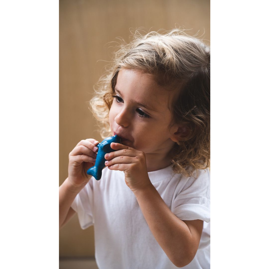 Plan Toys Dolphin Whistle