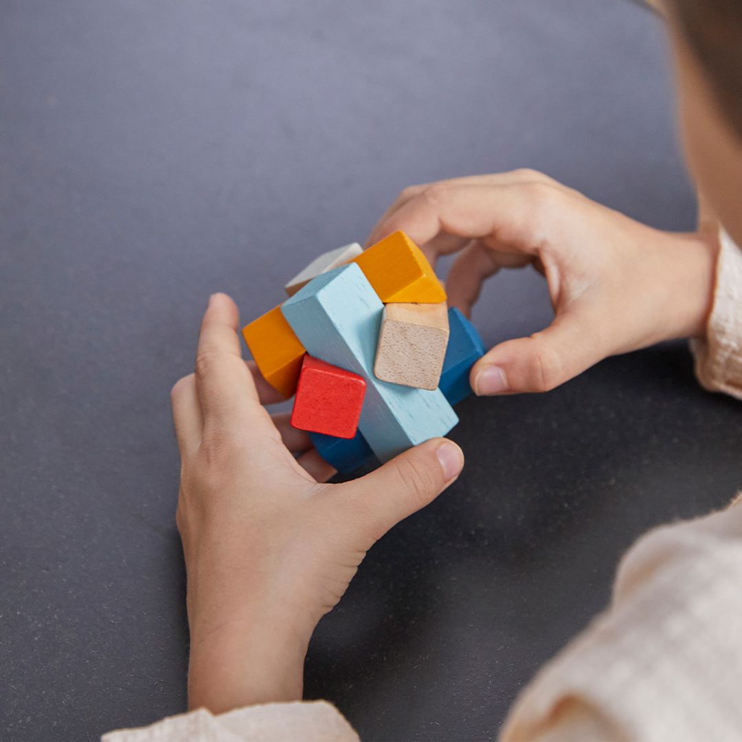 Plan Toys Rectangular Puzzle - PlanMini