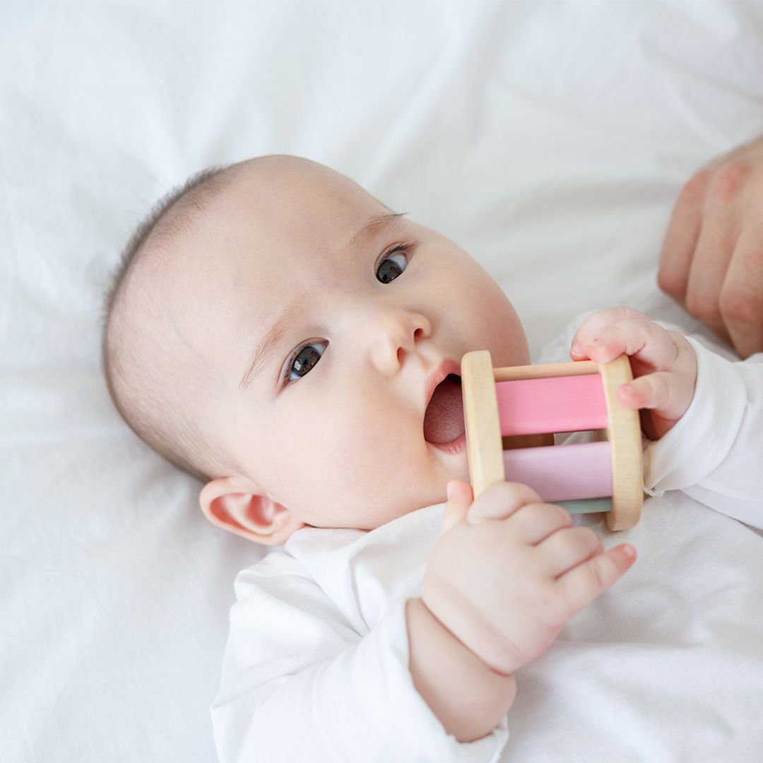 Plan Toys Roller - Pastel