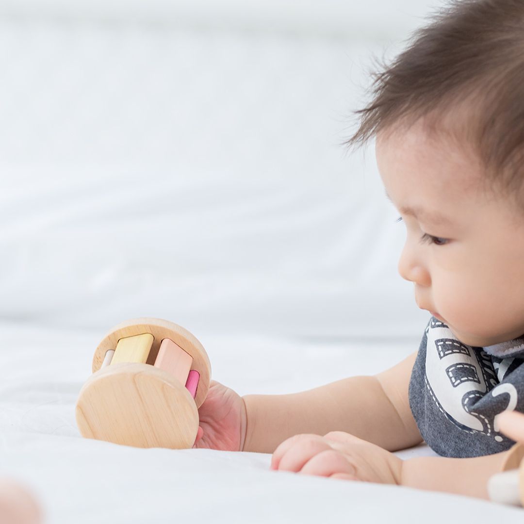 Plan Toys Roller - Pastel