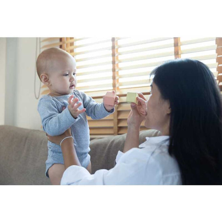 Plan Toys Sensory Blocks