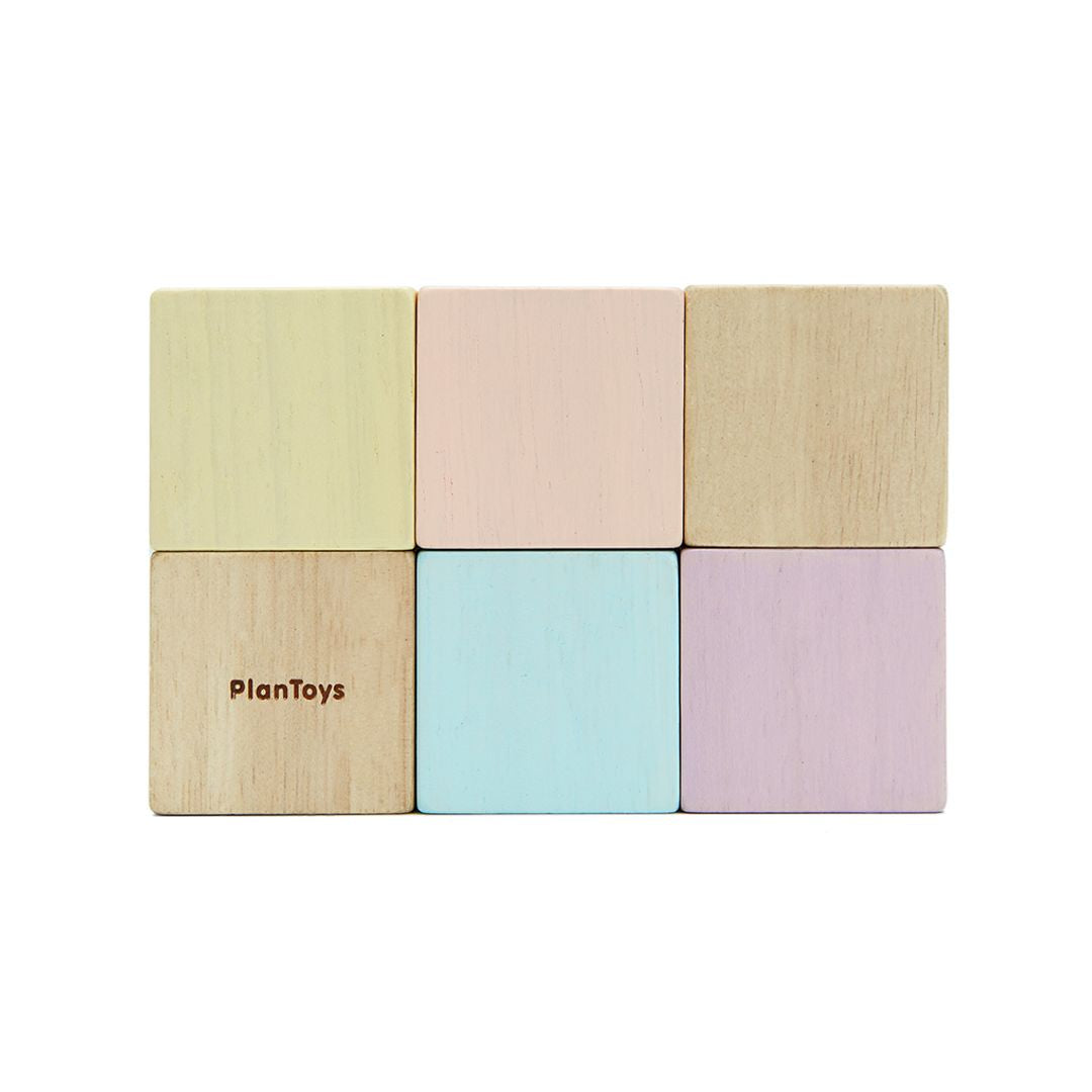 Plan Toys Sensory Blocks