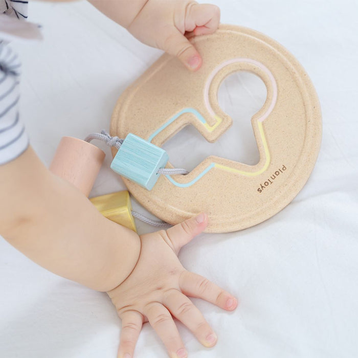 Plan Toys Shape Sorter