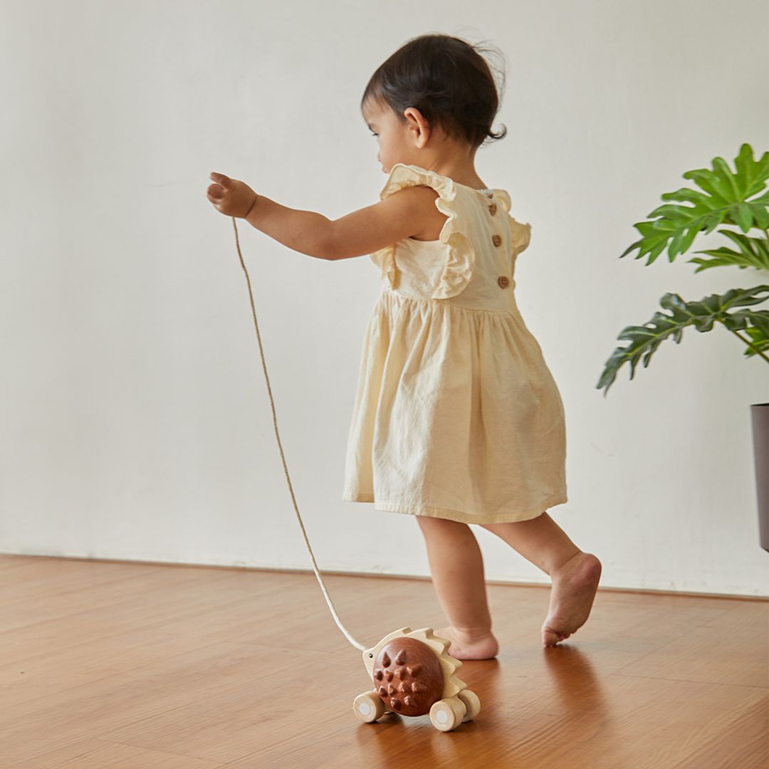 Plan Toys Pull-Along Hedgehog - Brown
