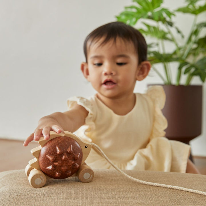 Plan Toys Pull-Along Hedgehog - Brown