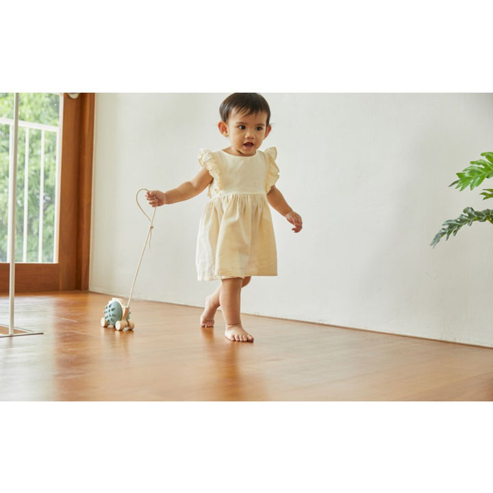 Plan Toys Pull-Along Hedgehog - Blue
