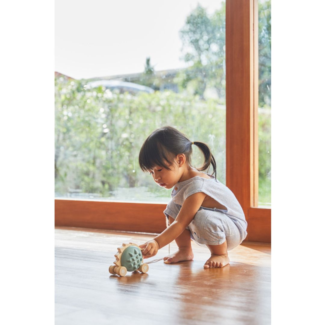 Plan Toys Pull-Along Hedgehog - Blue