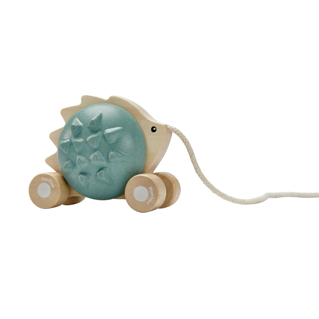 Plan Toys Pull-Along Hedgehog - Blue