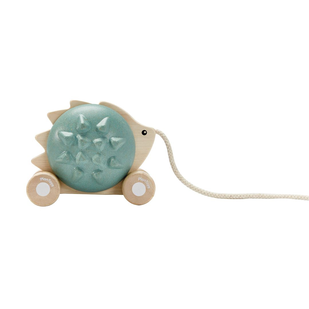 Plan Toys Pull-Along Hedgehog - Blue