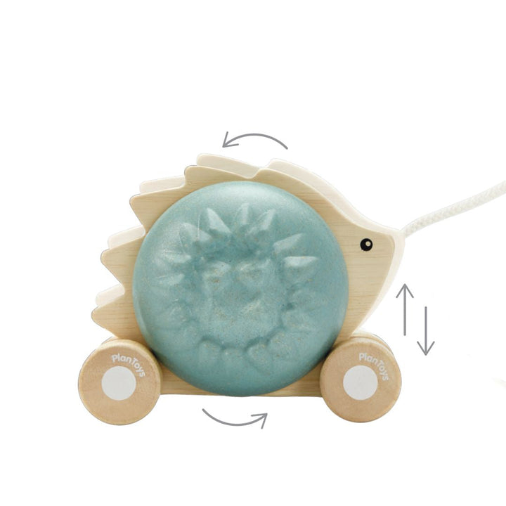 Plan Toys Pull-Along Hedgehog - Blue