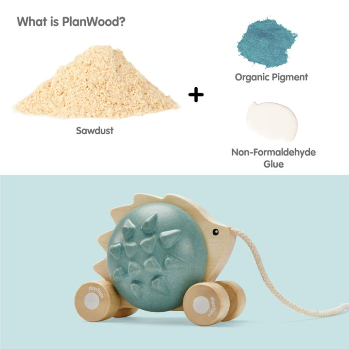 Plan Toys Pull-Along Hedgehog - Blue