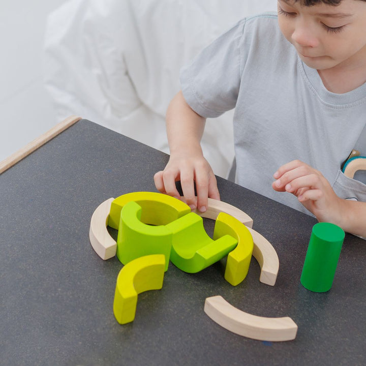 Plan Toys Curve Blocks