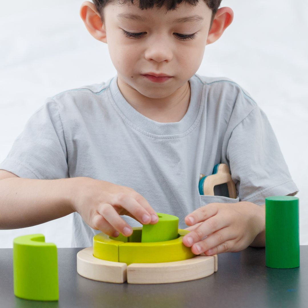 Plan Toys Curve Blocks