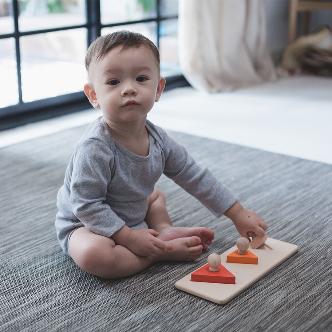 Plan Toys Triangle Matching Puzzle