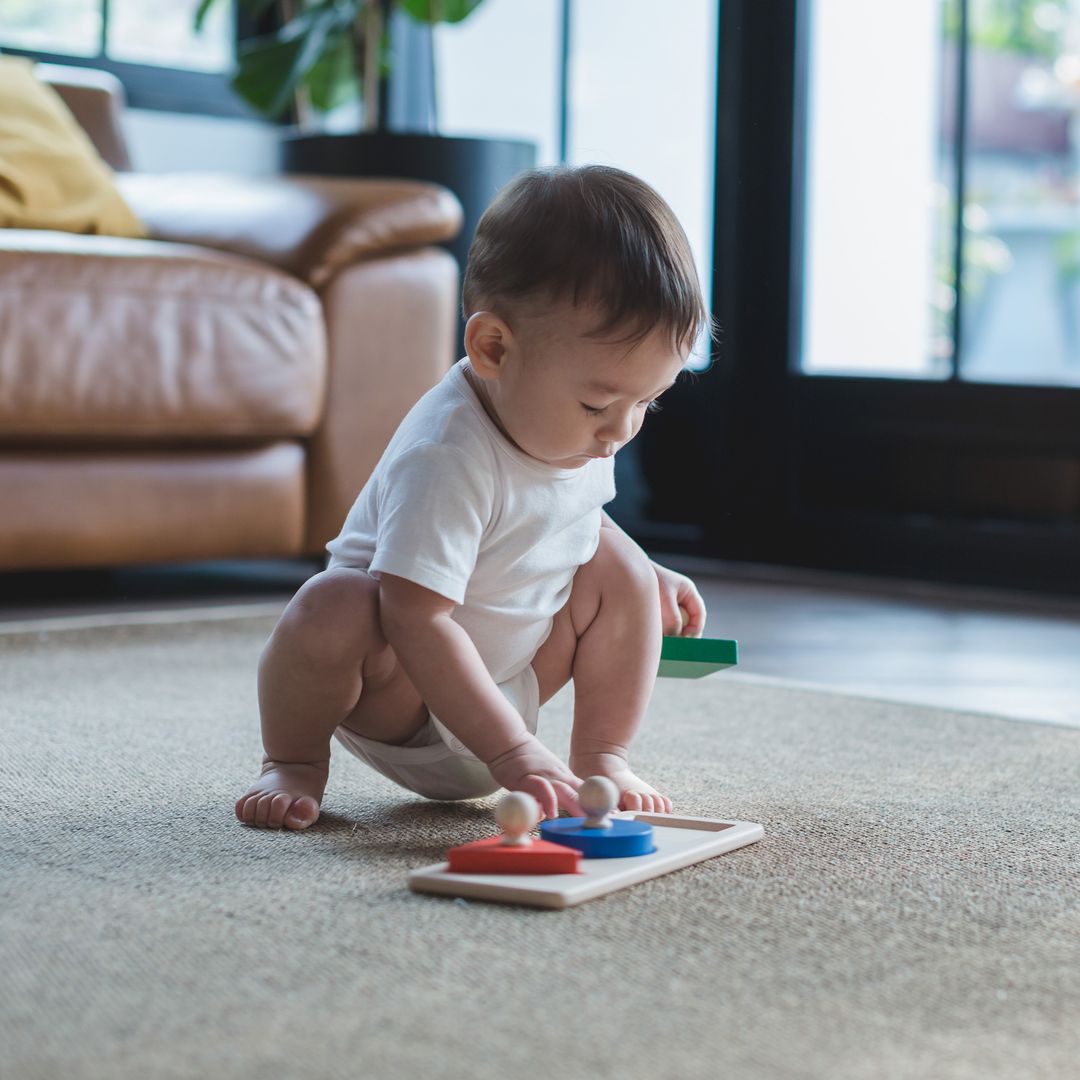 Plan Toys Shape Matching Puzzle