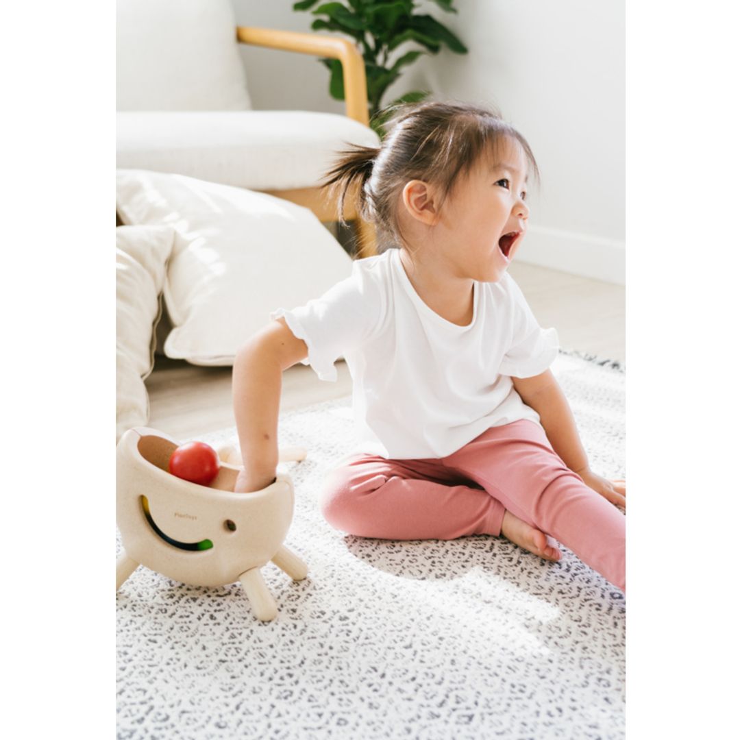 Plan Toys Miracle Pounding II