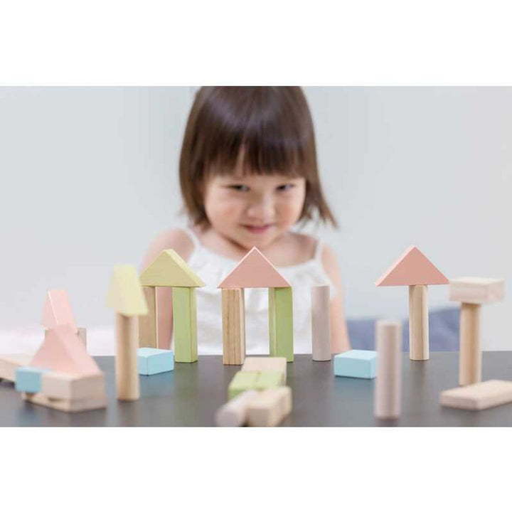 Plan Toys 40 Unit Blocks