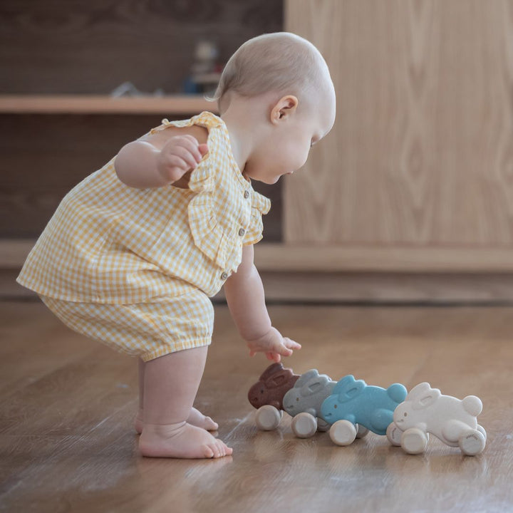 Plan Toys Push Along Bunny - White