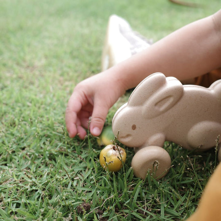 Plan Toys Push Along Bunny - White