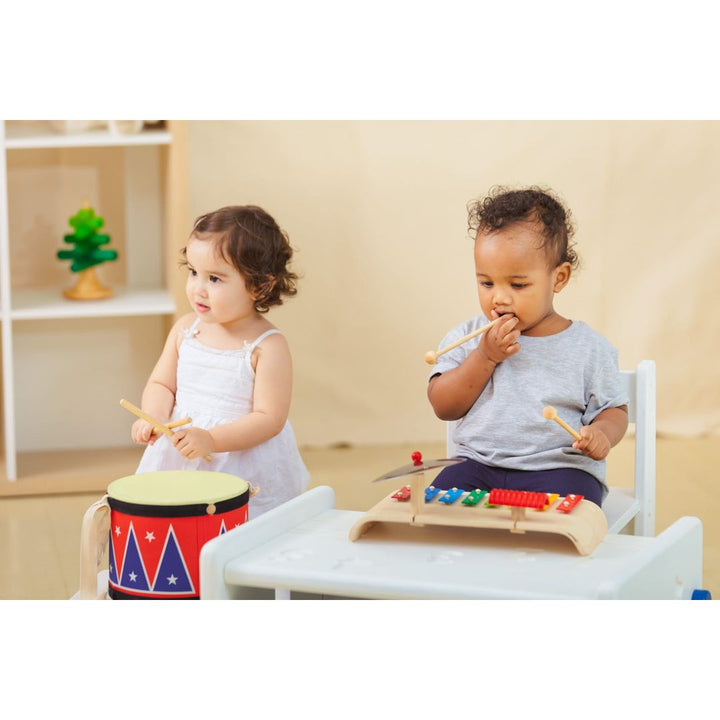 Plan Toys Musical Set