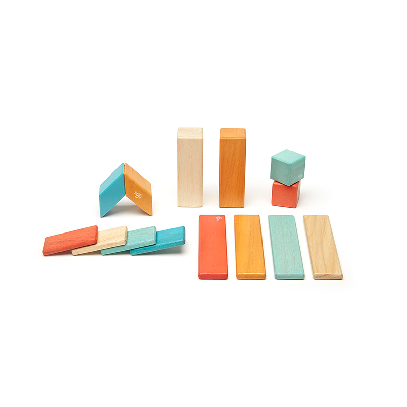 14-Piece Set Magnetic Wooden Blocks Tegu Classics