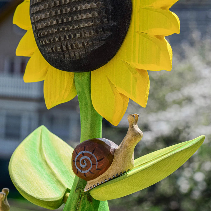 Bumbu Snail