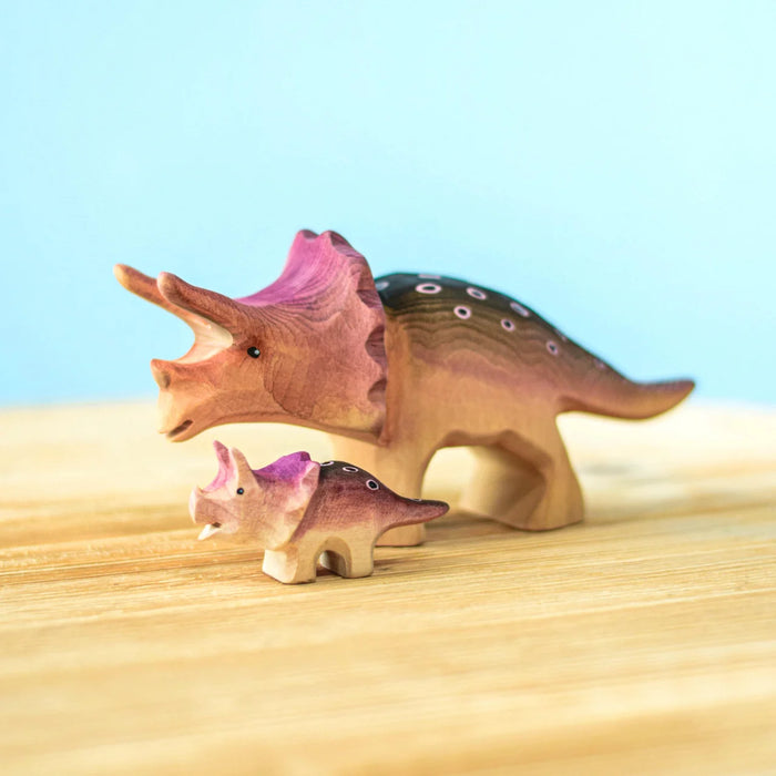Bumbu Triceratops Set
