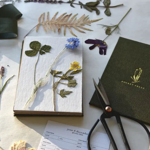 June & December field flower press with pressed ferns and blooms. Scissors, specimen labels and notebook shown are styling props and are not included.