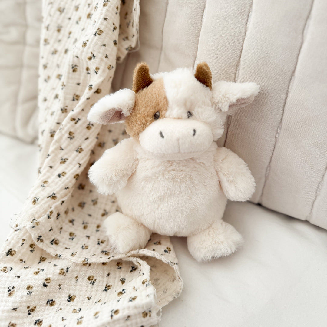 Mocha Petit Cow