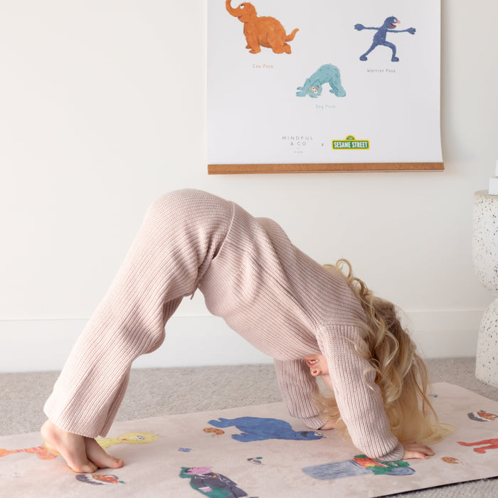 Mindful Moves Bundle