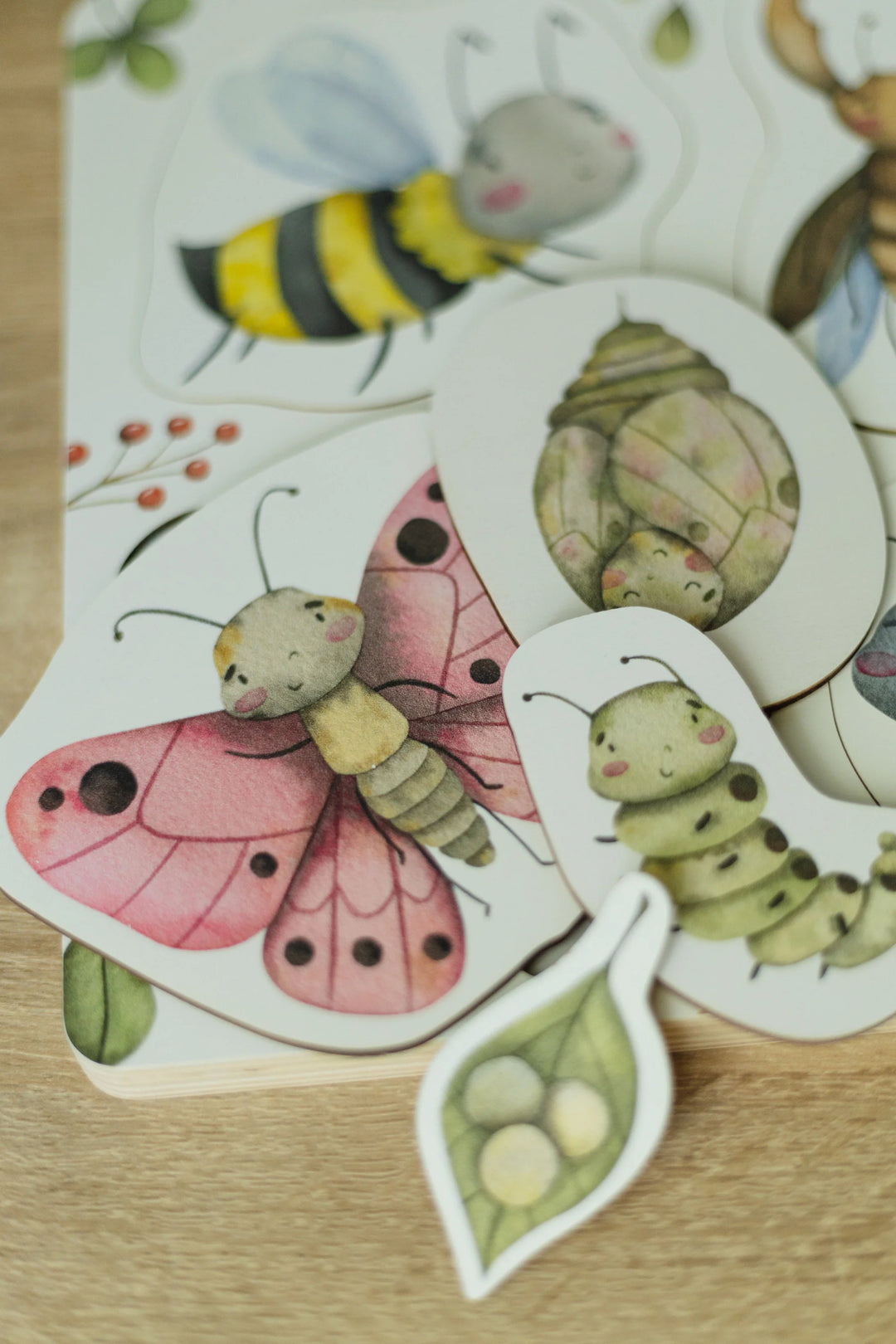 Insects&