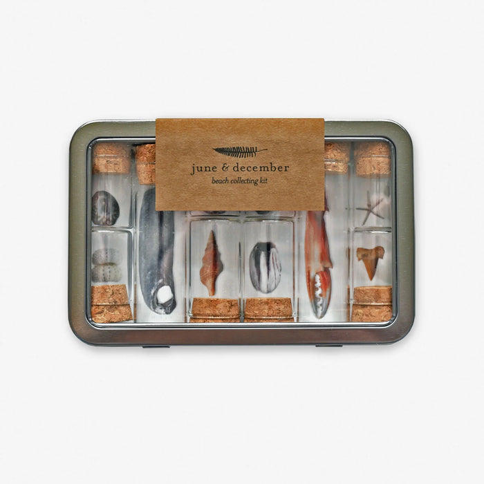 June & December Beach Collecting Kit