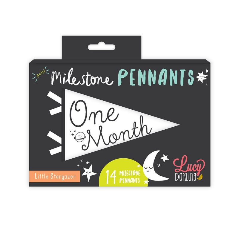 Lucy Darling Little Stargazer Petit Milestone Pennants