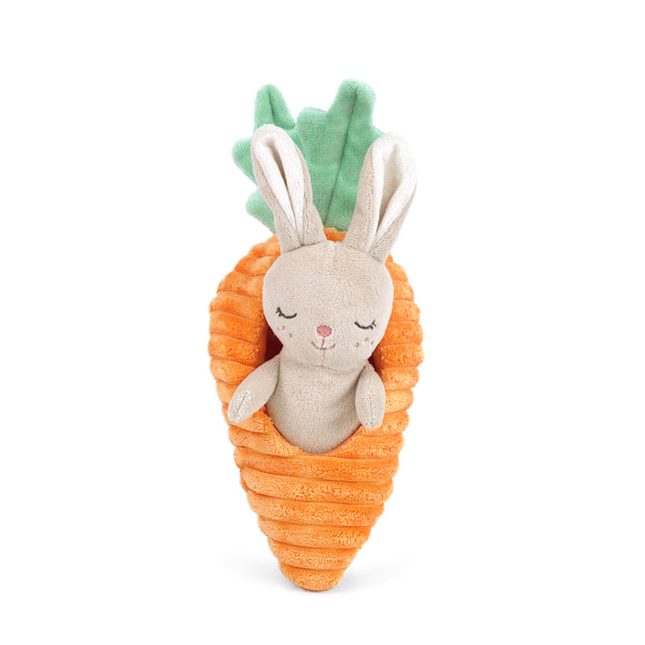 Mon Ami plush bunny tucked inside a soft carrot activity toy
