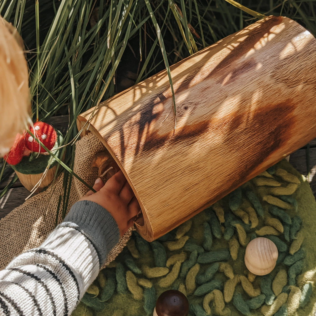 Papoose Hollow Log