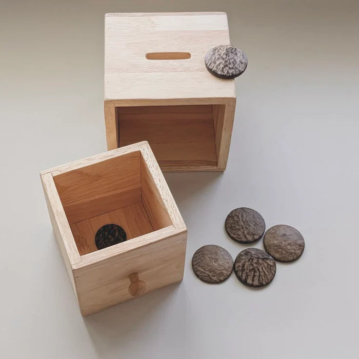 Q Toys Montessori Disc Post Box