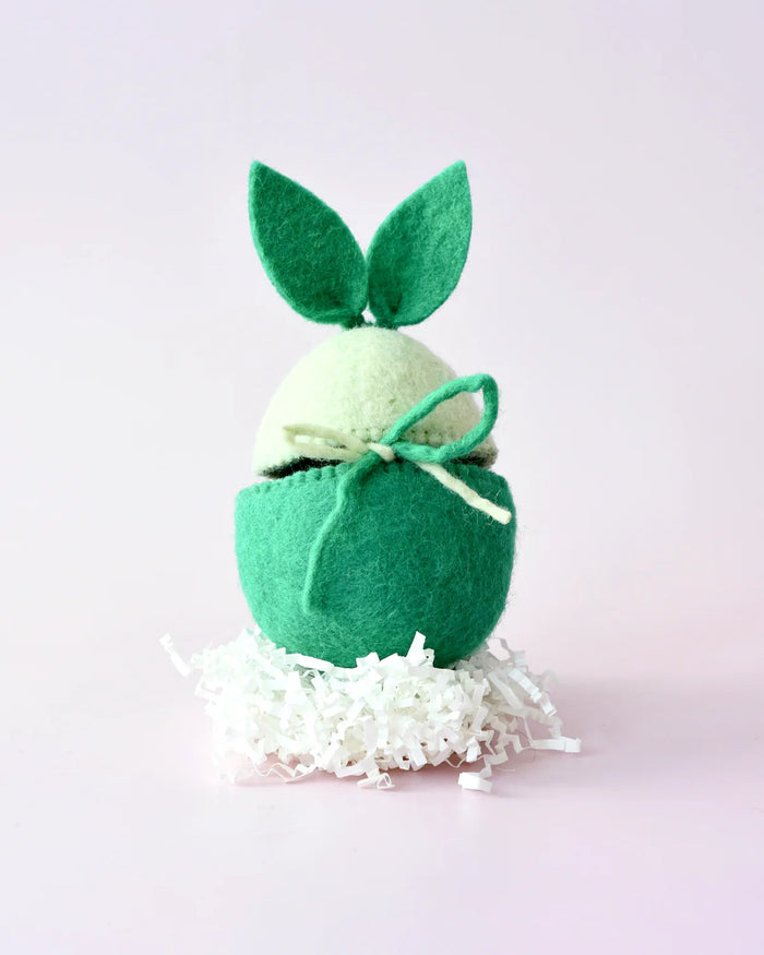 Green Easter Egg Cover with Bunny Ears